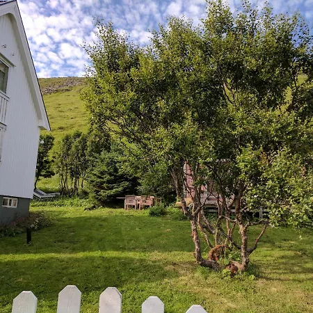 North Cape Family Skarsvag